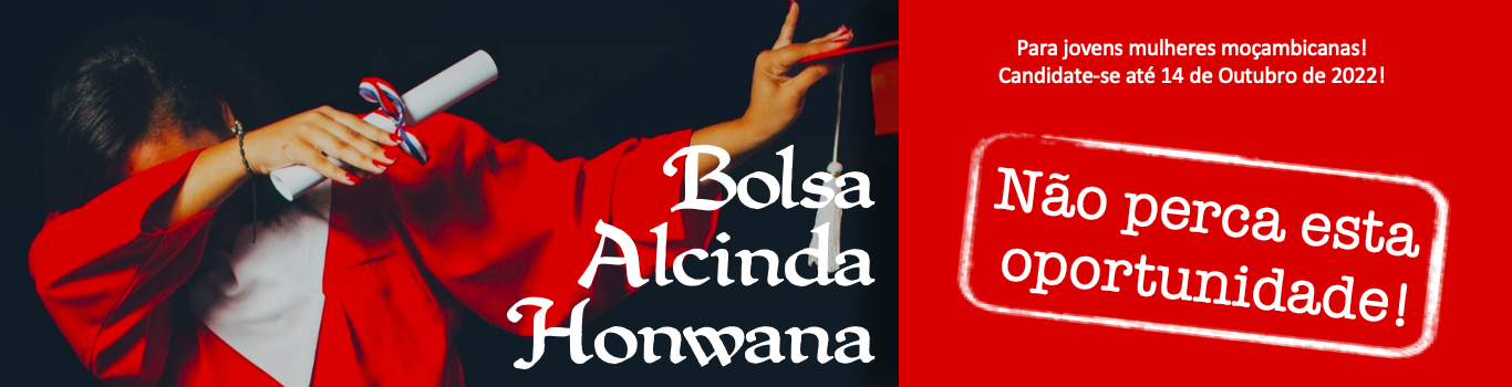 BOLSA ALCINDA HONWANA
